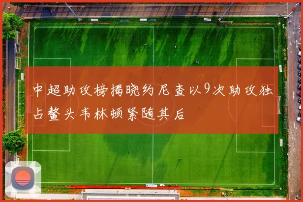 中超助攻榜揭晓约尼查以9次助攻独占鳌头韦林顿紧随其后